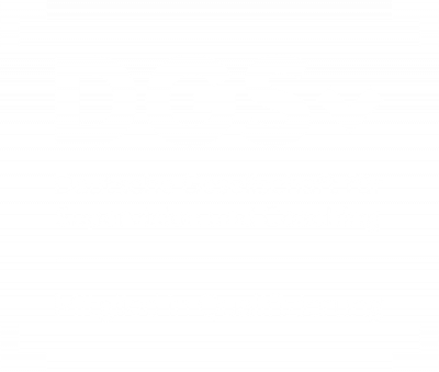 DGSv Logo Footer